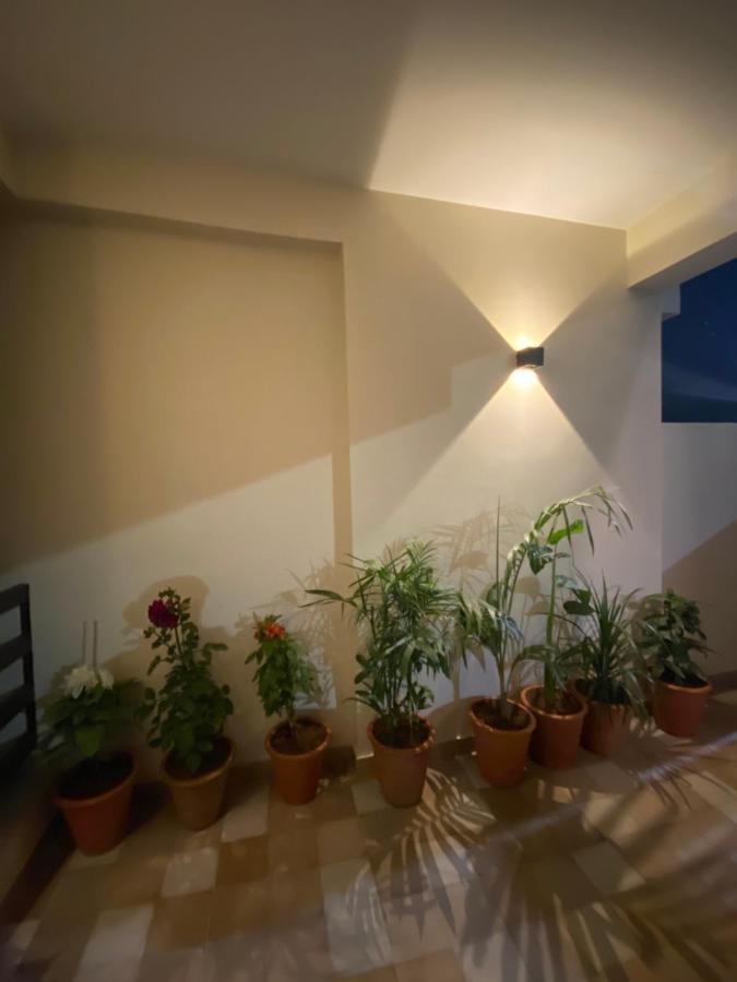 伊斯兰堡Continental Boutique House住宿加早餐旅馆 外观 照片